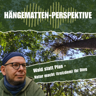 Wald statt Plan - Natur macht (trotzdem) ihr Ding
