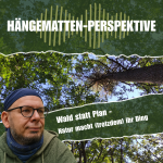 Hängemattenperspektive - Wald statt Plan - Natur macht (trotzdem) ihr Ding