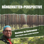 Machtlos im Kiefernmeer