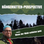 Wenn der Wald schlafen geht